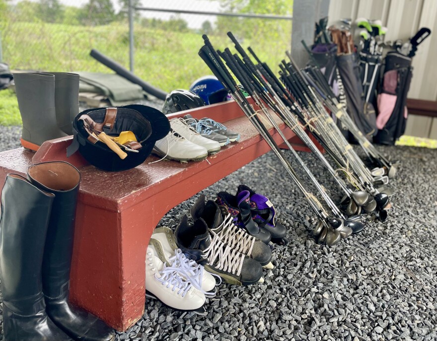 Golf clubs.jpg