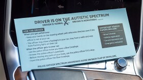 Blue Envelope in Car.jpg