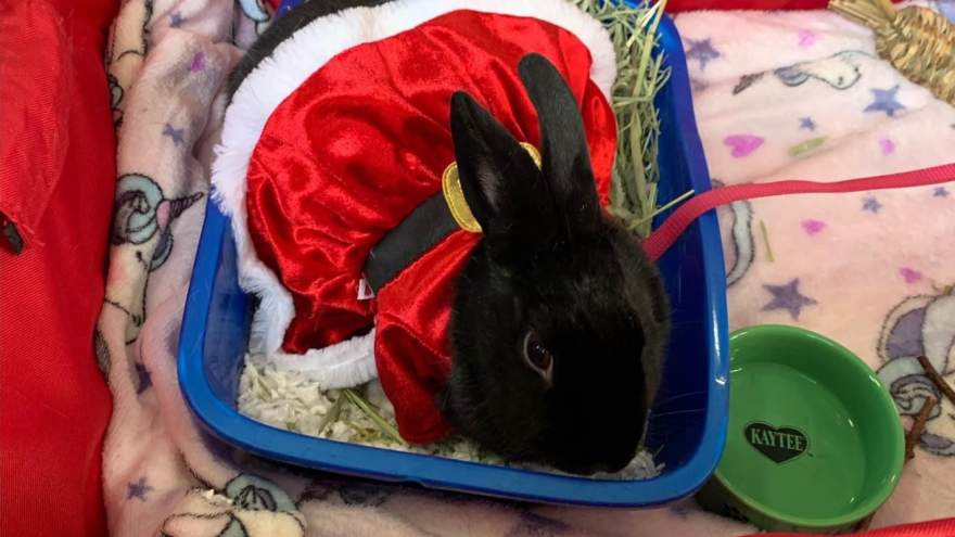 Winter Bunderland Macungie Park 1