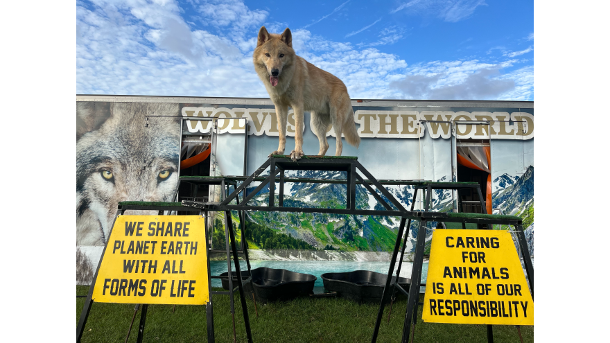 Wolves of the World