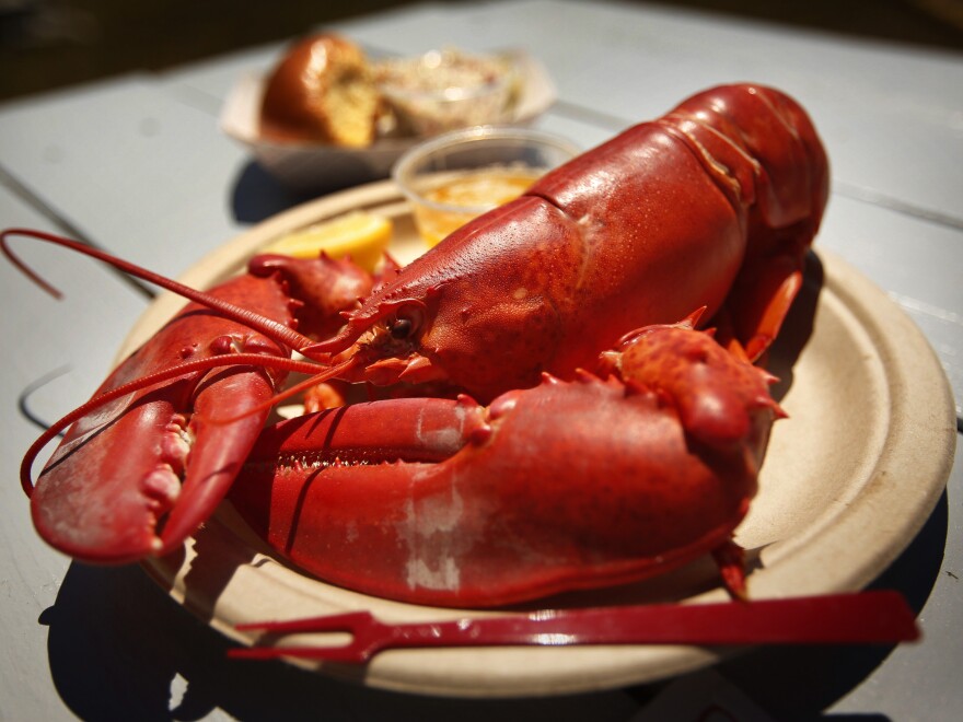 Recent years have ushered in efforts to develop alternate forms of gear and methods of lobster fishing to protect the dwindling right whale population.