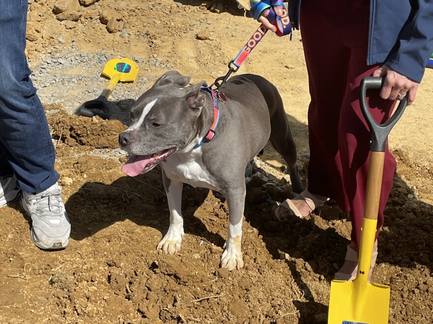 Easton's HangDog Outdoor Adventure park has high hopes to expand Lehigh