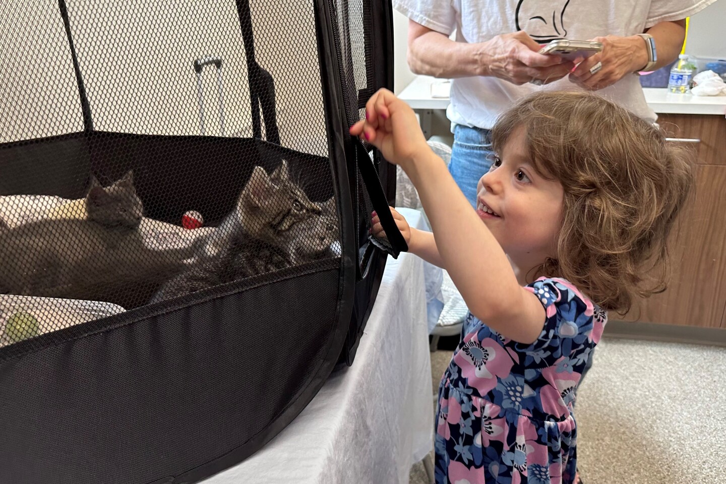 Peaceable Kingdom gets a fresh look to help even more furry friends