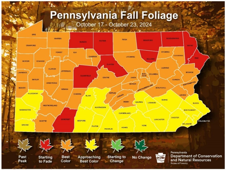 Pa Fall Foliage Forecast Week 4
