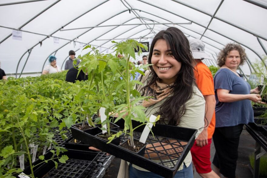 The Seed Farm Spring Plant sale