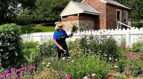 Garden 2.jpg