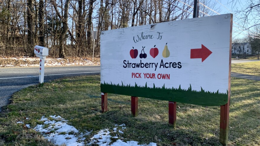 230307-strawberry-acres-sign.jpg