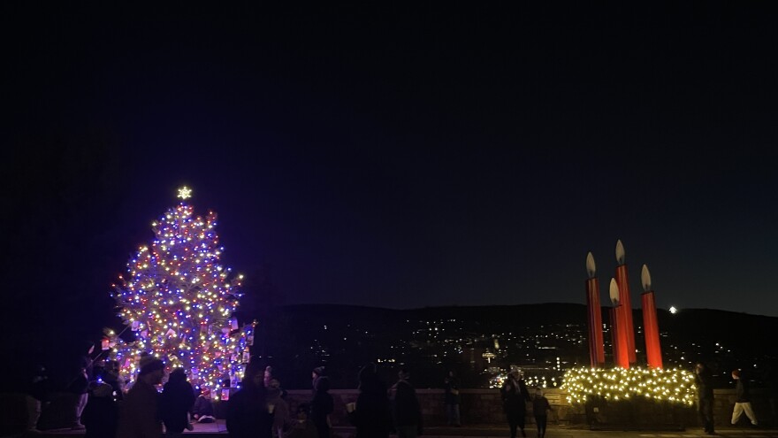 Bethlehem's Christmas Trees