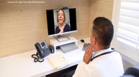 Telehealth-doctor