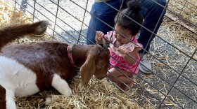The Great Allentown Fair