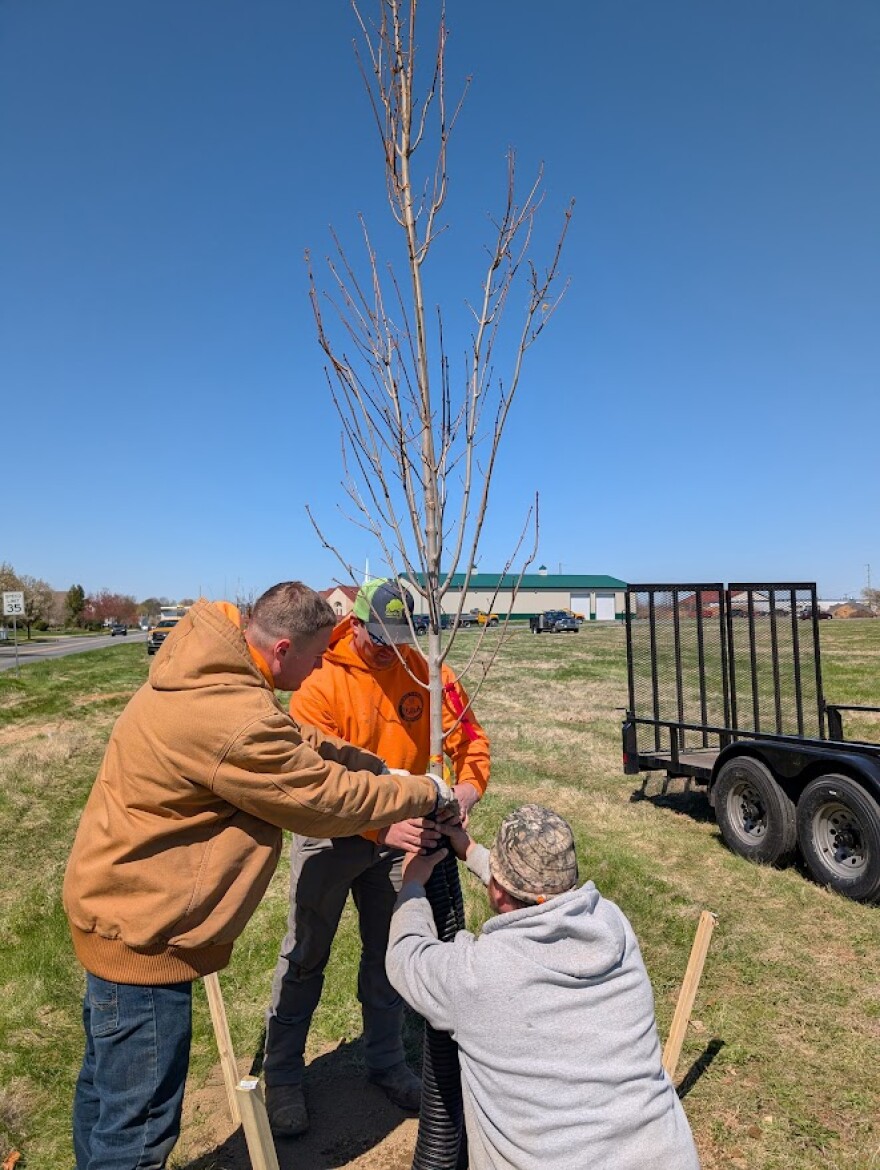 Palmer Township Shade Tree Commission April 2025