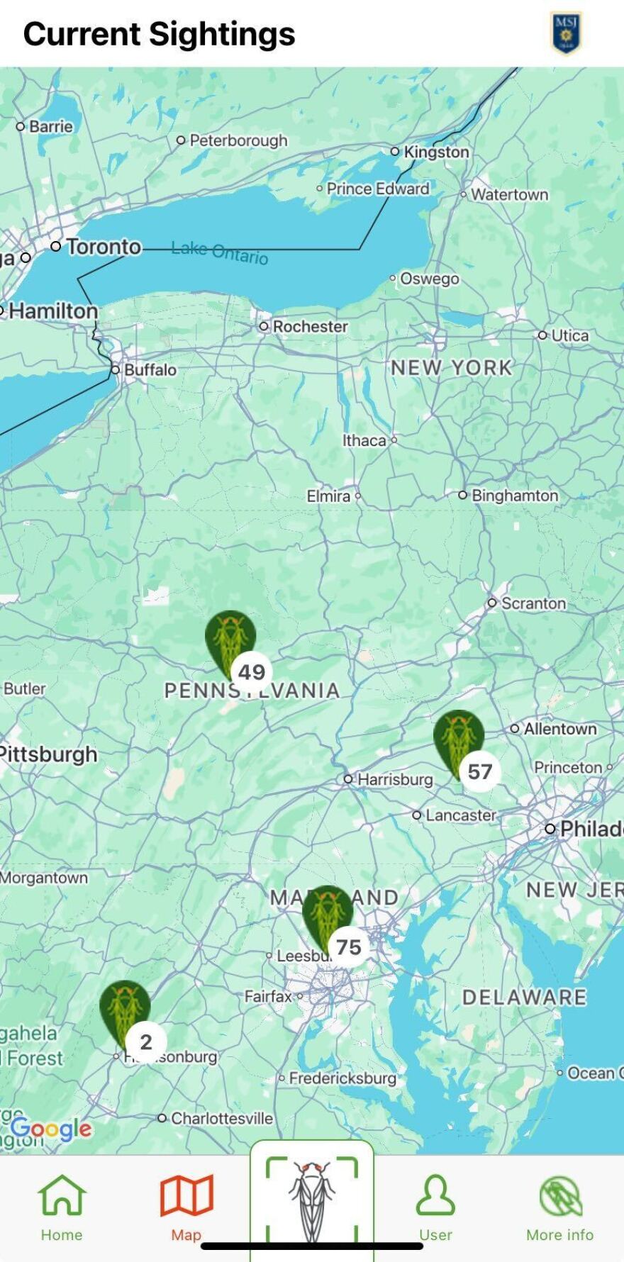 Cicada Safari: Current Sightings map