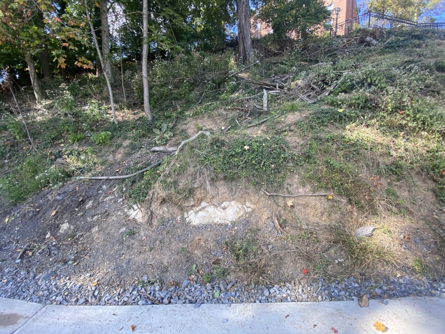 Deforestation Lafayette