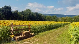 Fox Summit Farm