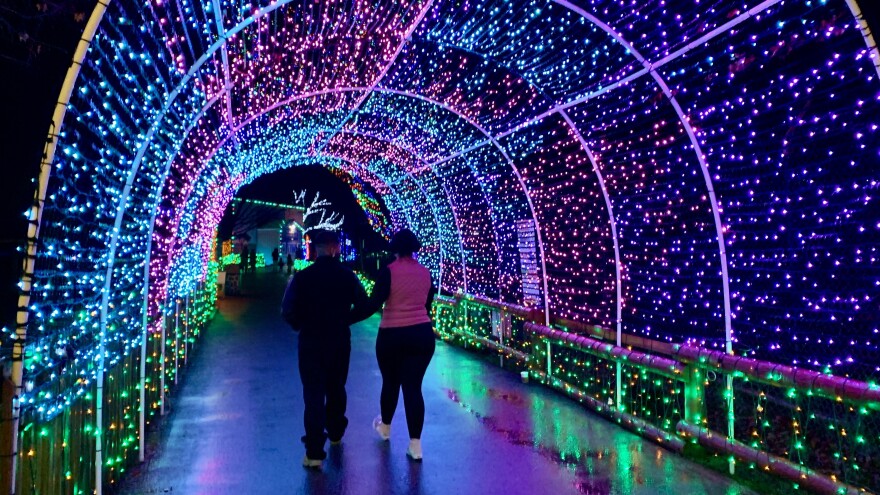 Winter Light Spectacular 2023