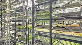 Bowery-vertical-agriculture