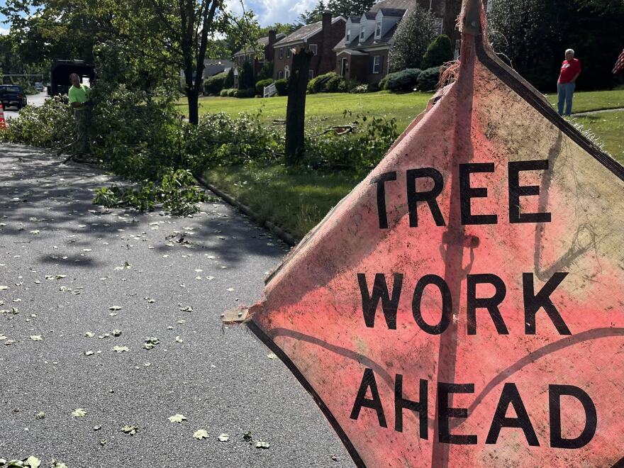 Charlie Tree sign.jpg