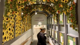 'Restoring Petals' Exhibition