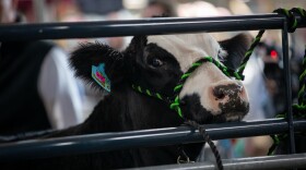 PA Farm Show 2024