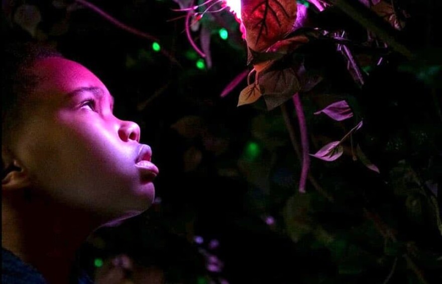 A still from season two of "Raising Dion"