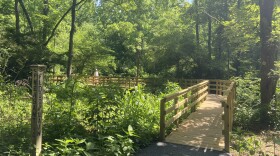 Floodplain Trail at Dorothy Rider Pool Wildlife Sanctuary