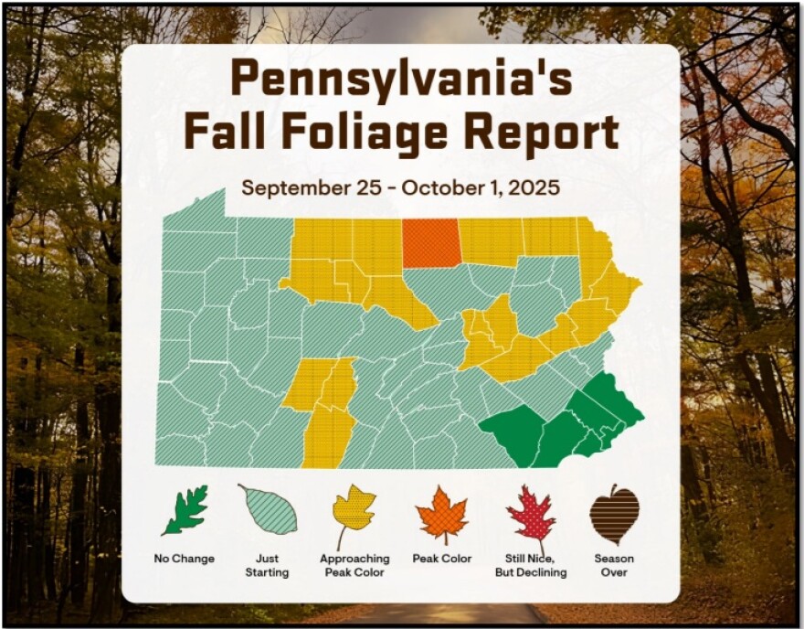PA Fall foliage report 2025