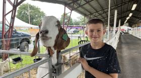 Ethan goat.jpg