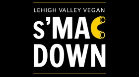 Lehigh Valley s'MAC down