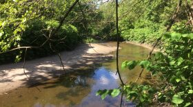 cobbs-creek-eastwick-stateimpact-pa