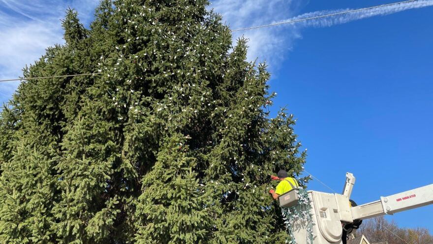 Bethlehem Christmas Tree at Payrow Plaza
