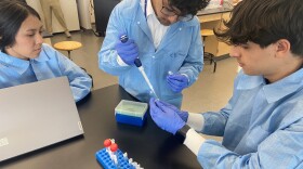 Summer Science Program at Lehigh University