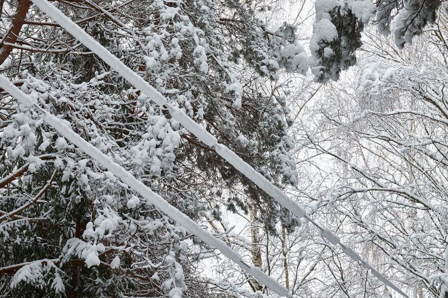 Electric wires covered in snow