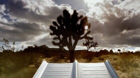 Galvalum with Joshua Tree.jpeg