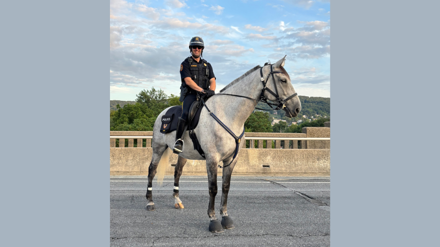 Seamus of the Bethlehem Mounted Police
