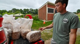 Hunter Vargo takes logs inoculated with fungus spores off his truck.