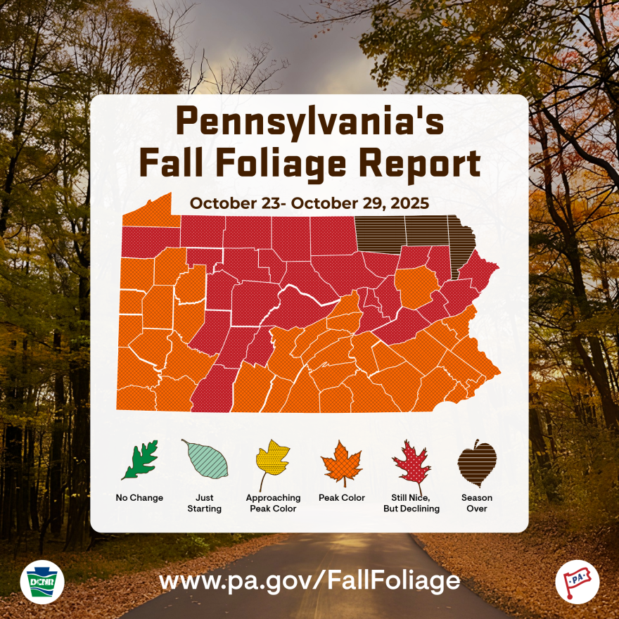 PA Fall Foliage Report