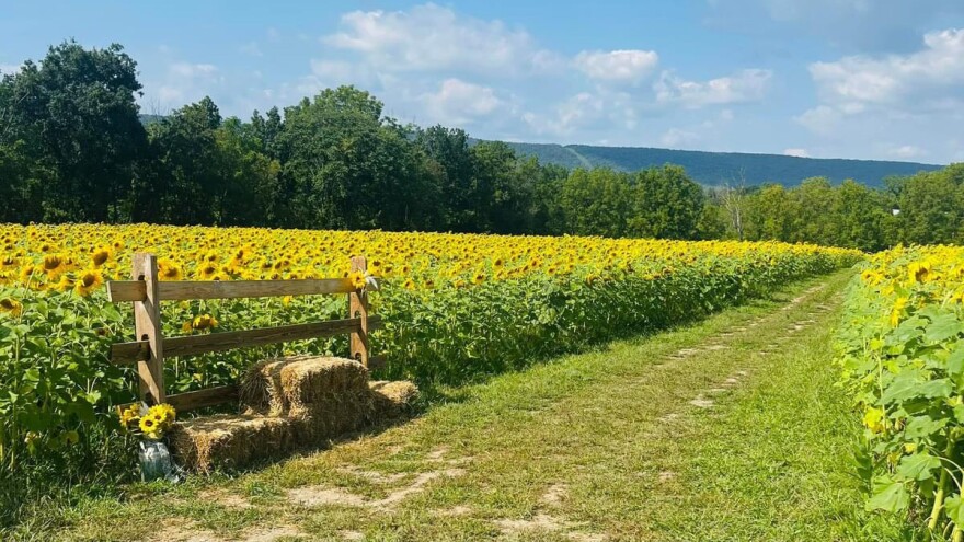 Fox Summit Farm