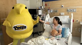 Peeps Chick high five