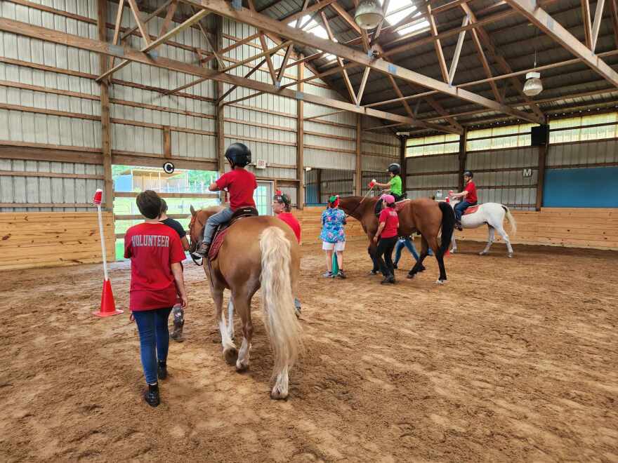 Equine therapy.jpg