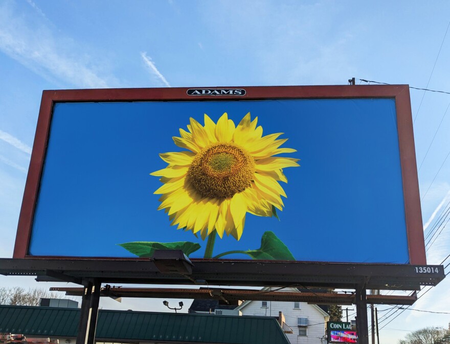 Sunflower-billboard-3