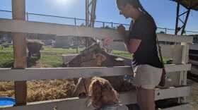 Fair-8