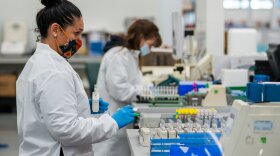 HNL Labs