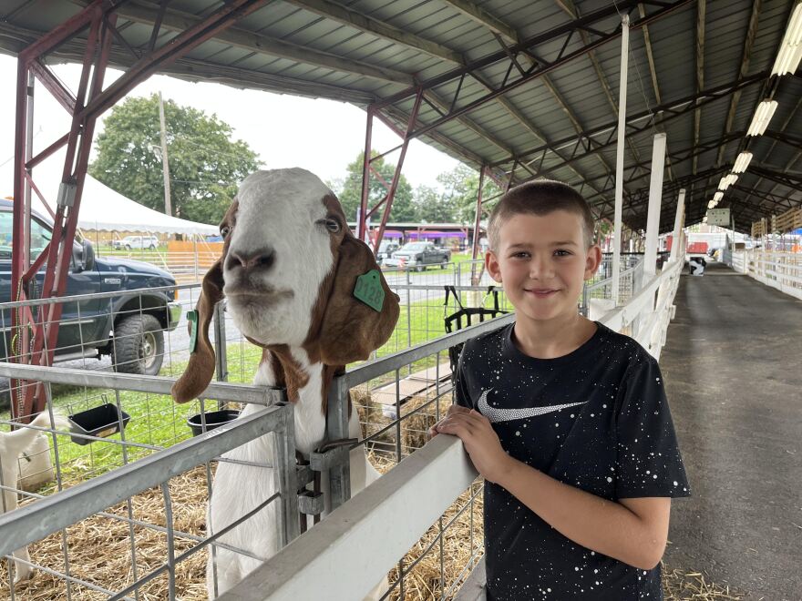 Ethan goat.jpg