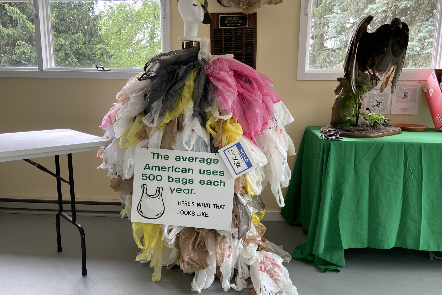 American kestrel banding at Grand Central Landfill