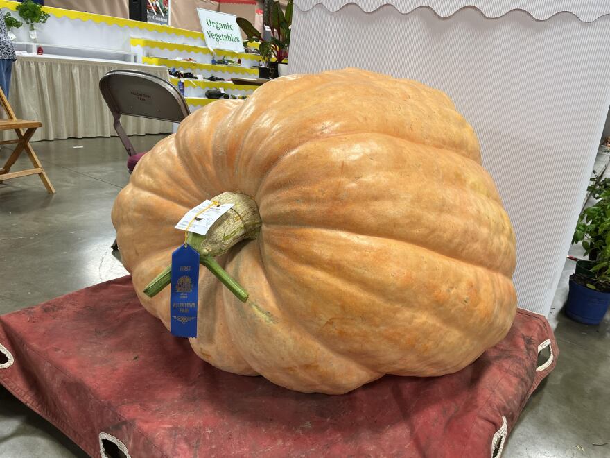 pumpkin.jpg