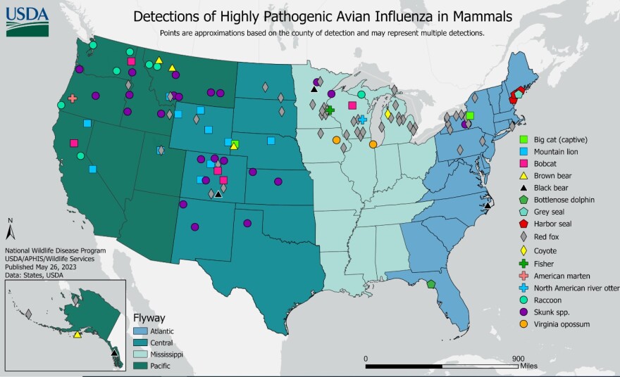 highly pathogenic avian influenza, or HPAI