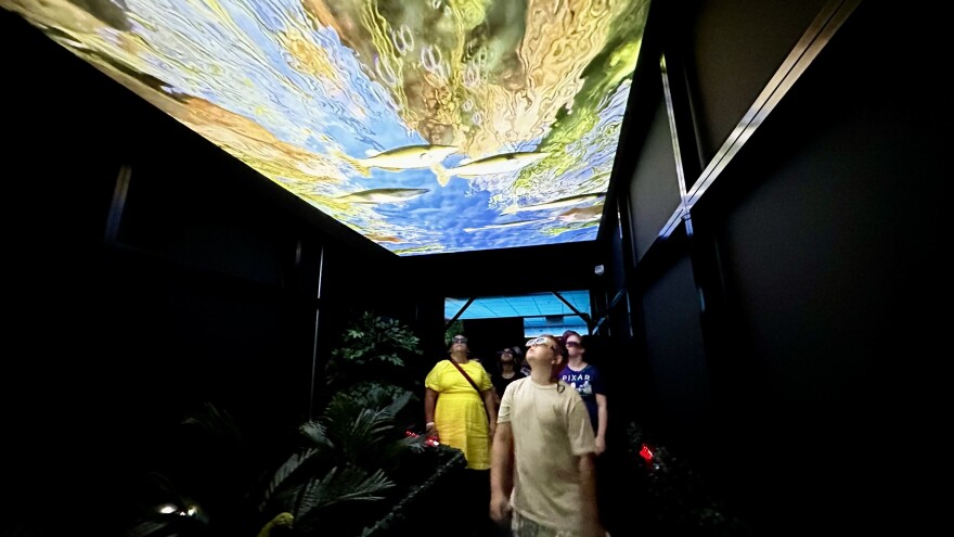 hologramzoo3.jpg