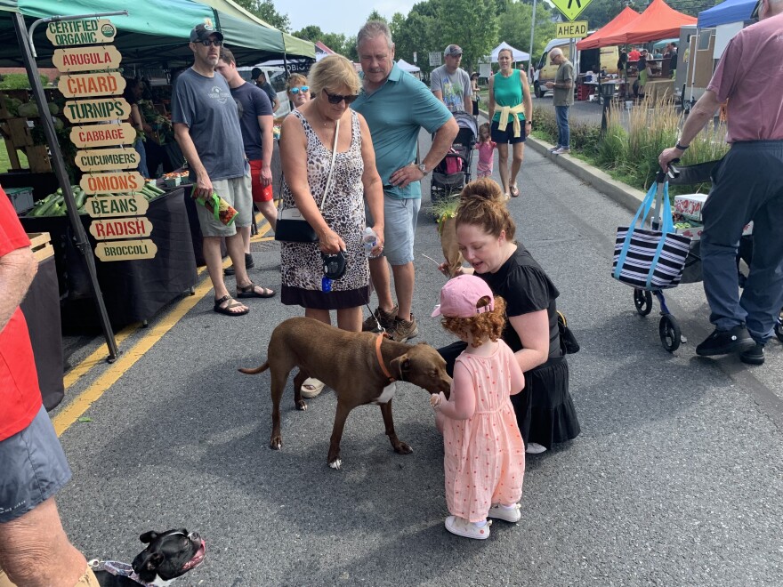 Easton Farmers' Market has its 271st birthday celebration