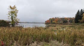 Wayne-County-1
