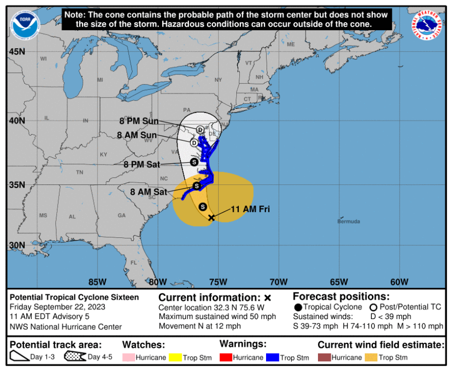 PTC16 cone